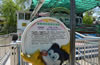 �����I�Ļ����@
