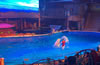 ���Bʥ����������